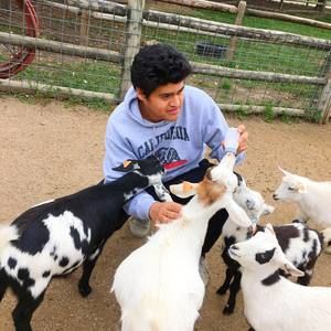 Meet your Posher, Frankie